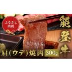能登牛 牛肩 ウデ 焼肉 300g