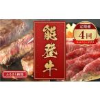能登牛 定期便 エコノミークラス 全4回 牛肉