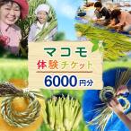 マコモ体験チケット 6,000円分