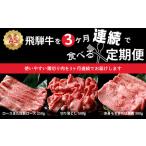 定期便 3回 A5飛騨牛 ご褒美