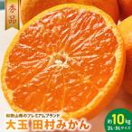 大玉田村みかん 2L