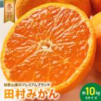 ふるさと納税 AB7308_ プレミアムブランド 田村みかん Sサイズ 秀品  約10kg 和歌山県産 小玉 小さい 蜜柑 ミカン フルーツ 果物 ギフト お歳.. 和歌山県湯浅町