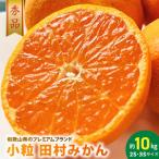 小粒田村みかん 2S 3Sサイズ 秀品 約10kg