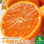 小粒田村みかん 2S 3Sサイズ 秀品 約5kg