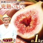 完熟いちじく約1kg