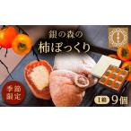 fu.... налог каштан ..... наполнен [ хурма ....]9 штук серебряный. лес [AUBG037] высушенный хурма каштан .... высушенный хурма Gifu префектура .. город 