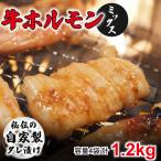 ホルモン ミックス 1.2kg