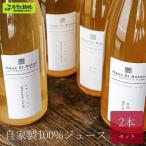 自家製100%ジュース 2本セット L-1