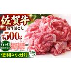 佐賀牛 A5 切り落とし 500g