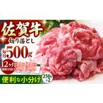 佐賀牛 A5 切り落とし 500g