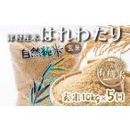 中泊産 こだわりの有機米 玄米 全50kg 10kg×5回