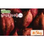 さつまいも 土佐紅 5kg
