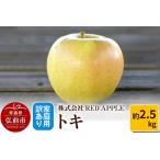 ふるさと納税 りんご【訳あり】家庭用 トキ 約2.5kg 青森県弘前市