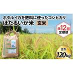 ほたるいか米 米定期便 コシヒカリ10kg