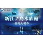 新江ノ島水族館 大人2枚 水族館 チケット