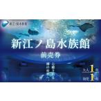 新江ノ島水族館 前売入場券 大人 幼児各1枚