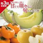 SE0486 酒田の美味しい果物 甘くて瑞々しい旬をお届け便2026
