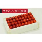 2027年産 やまがた紅王 特選桐箱詰約700g