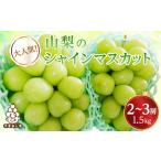 ふるさと納税 シャインマスカット 2〜3房 1.5kg【配送不可地域:離島】【1565515】 山梨県山梨市