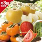 SE0487 庄内の美味しい果物お届け便2026
