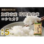 特別栽培米 コシヒカリ 精米5kg