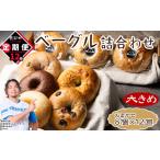 全12回 毎月お届け ベーグル 8個