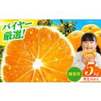 みかん 5kg