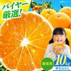 みかん 10kg