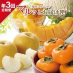 SE0490 旬のフルーツ マルッとお届け便2026