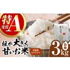 令和7年産米 さがびより 3kg