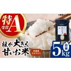 令和7年産米 さがびより 5kg