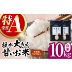 令和7年産米 さがびより 10kg