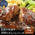 デミハンバーグ おおいた和牛100% デミ