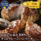 おおいた和牛ハンバーグ デミ&プレーンハンバーグ 12個