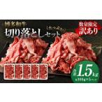 博多和牛 切り落とし 約300g×5パック