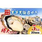 岩牡蠣 5kg