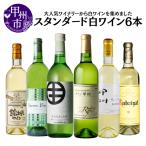 ワイン 大 ワイナリーのスタンダード白6本セット2