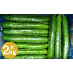 fu.... налог Iwate .. . огурец [ тщательно отобранный товар *A товар ]2kg [2026 год 7 месяц средний . из 2026 год 9 месяц последняя декада отправка предположительно ]| огурец огурец .. овощи A товар свежий ... Iwate префектура 2 дверь город 