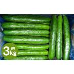 fu.... налог Iwate .. . огурец [ тщательно отобранный товар *A товар ]3kg [2026 год 7 месяц средний . из 2026 год 9 месяц последняя декада отправка предположительно ]| огурец огурец .. овощи A товар свежий ... Iwate префектура 2 дверь город 