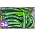 fu.... налог Iwate .. . огурец [ перевод есть *C товар ]5kg [2026 год 7 месяц средний . из 2026 год 9 месяц последняя декада отправка предположительно ]| есть перевод огурец огурец .. овощи C товар.. Iwate префектура 2 дверь город 