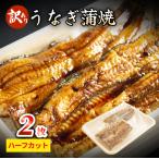うなぎ蒲焼 ハーフカット 2枚入り