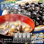 しじみ 超希少 特大粒プレミアムサイズ 宍道湖産冷凍大和し…