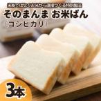 パン 食パン そのまんまお米ぱん 3本