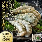 特大 ブラックタイガー 無頭えび 570g前後