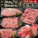 コクと旨味の宮崎牛定期便 隔月5回 宮崎牛