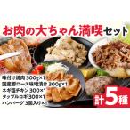 肉 お肉の大ちゃん満喫セット 5種