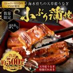 海水育ちの天草 藍うなぎ 小ぶり 蒲.. 上