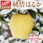自家用 りんご 純情はるか AI024