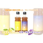 産フルーツシロップ2本セット 簡易箱入り
