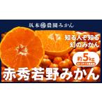 赤秀 若野みかん 約5kg